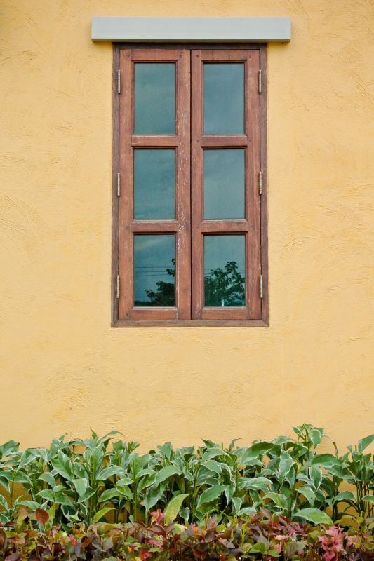 Wood Window Replacement